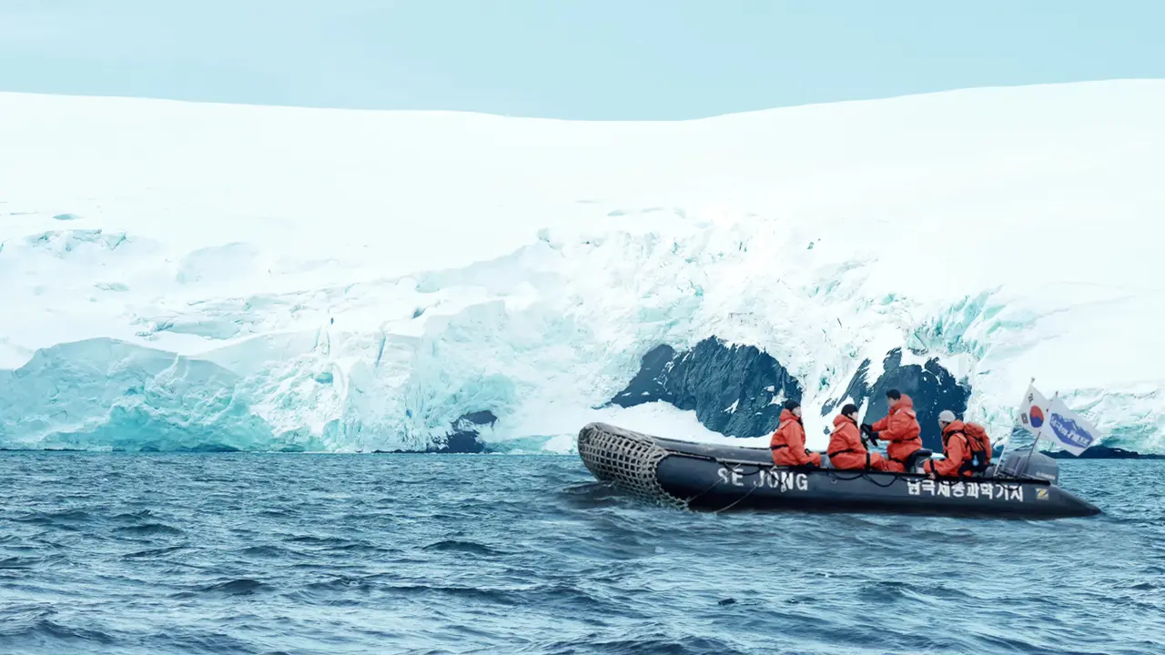 دانلود سریال آشپز قطب جنوب Chef of Antarctica